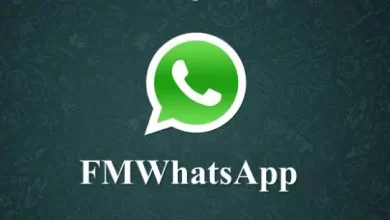 FMWhatsApp Fouad WhatsApp 2023 APK